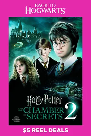 Harry Potter and The Chamber of Secrets Poster